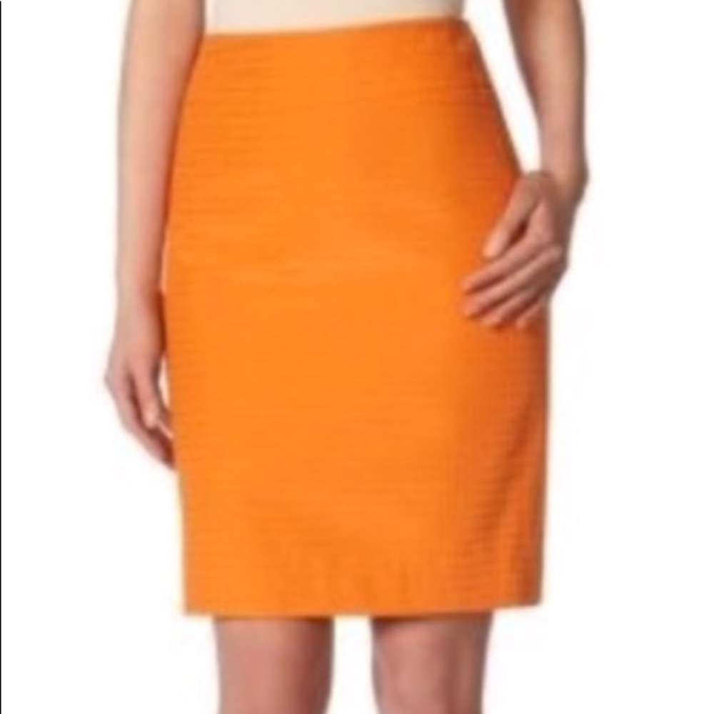 NWOT The Limited skirt